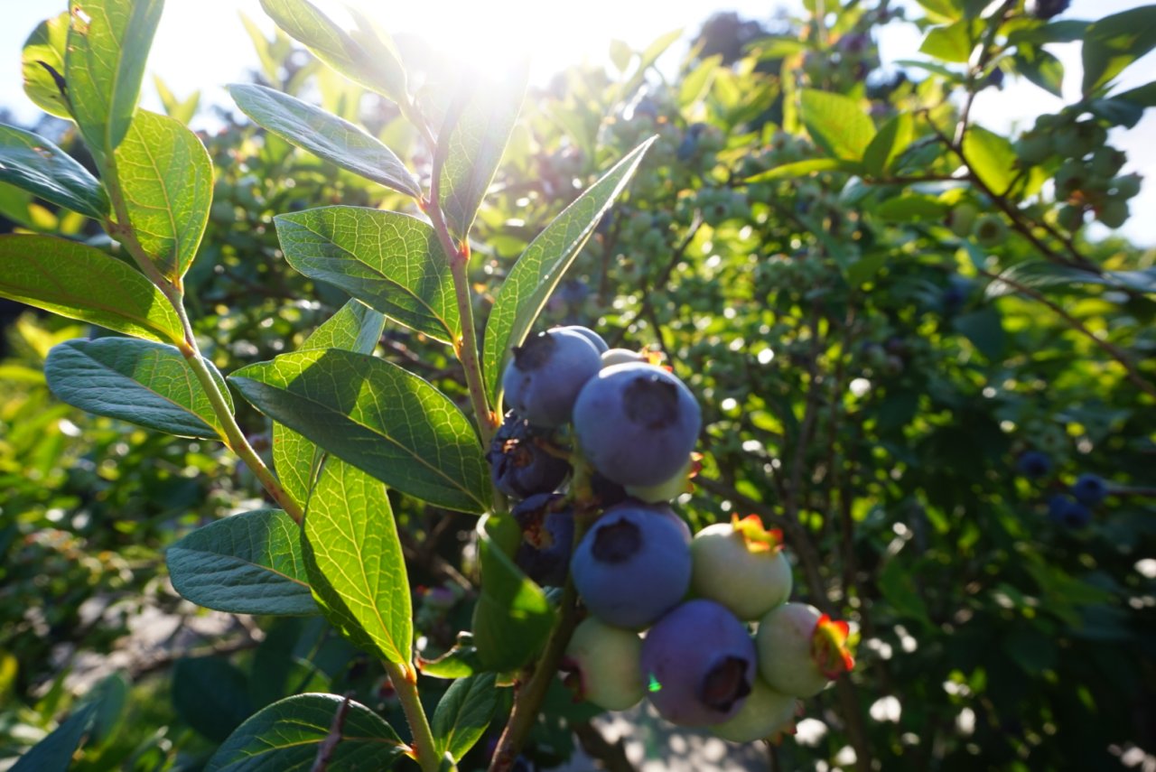 プランイメージ写真