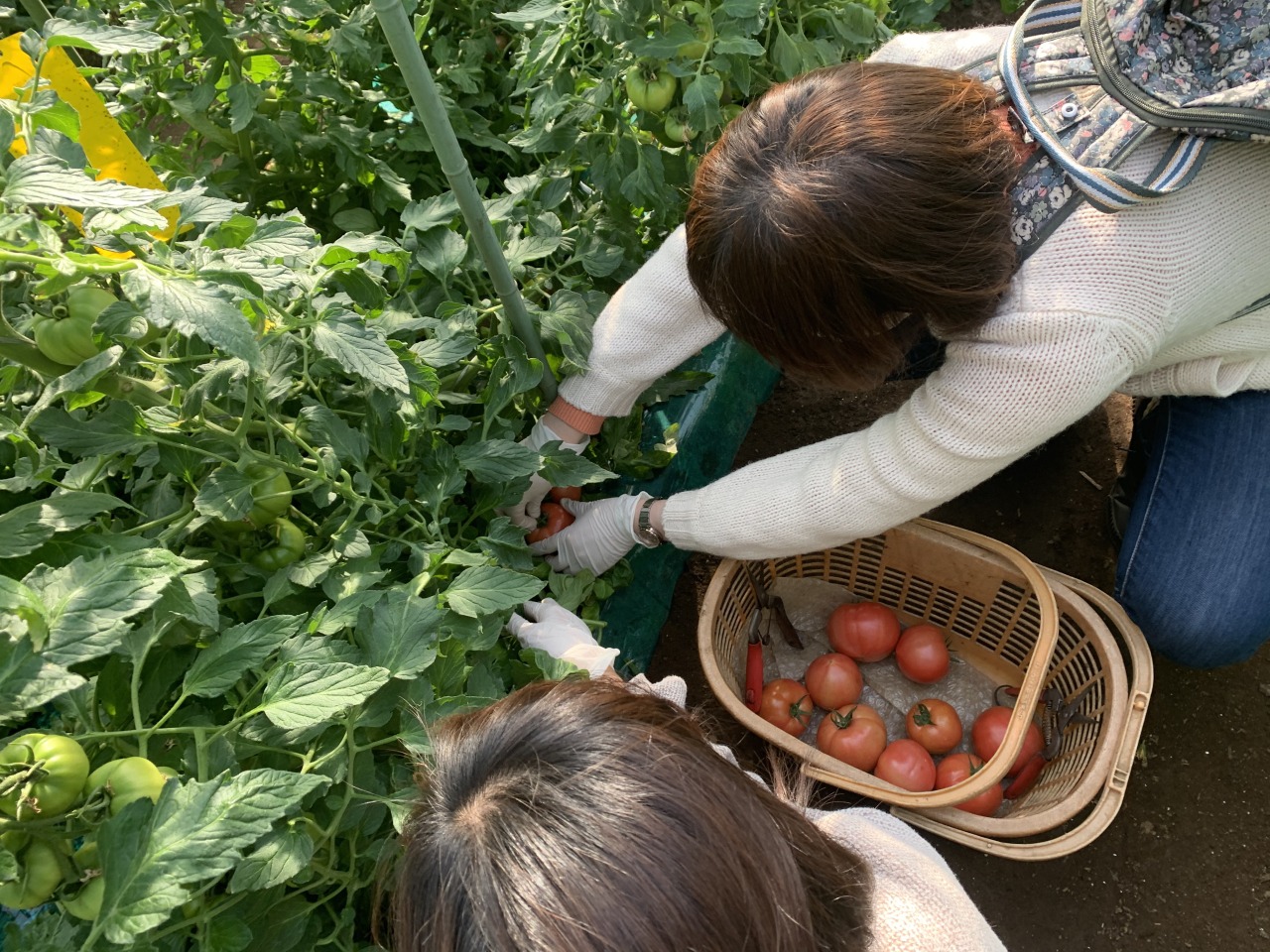 プランイメージ写真
