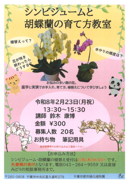 シンビジュームと胡蝶蘭の育て方教室