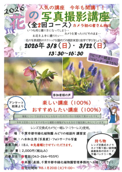 花の写真撮影講座（初心者向け）