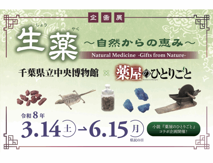 企画展  生薬〜自然からの恵み〜 千葉県立中央博物館×薬屋のひとりごと